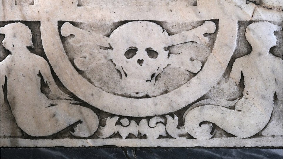 A skull, photo by Tomasz Ferenc