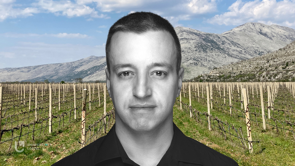 Dr Marek Majer na tle pola krótko przyciętych winorośli. W tle góry.