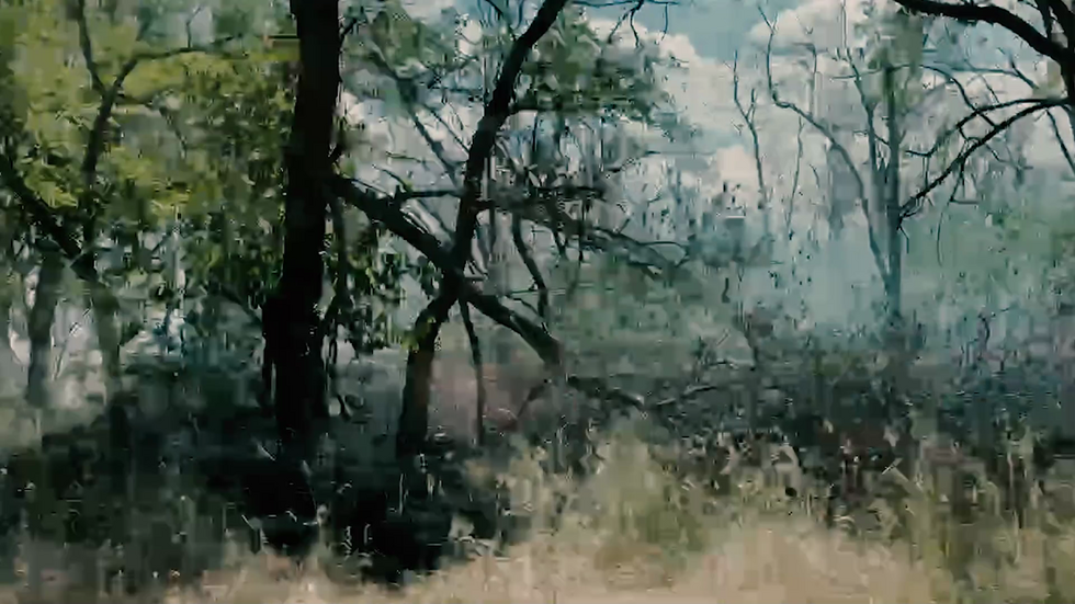 Nowe media i kultura cyfrowa / Specjalizacja Media społeczne